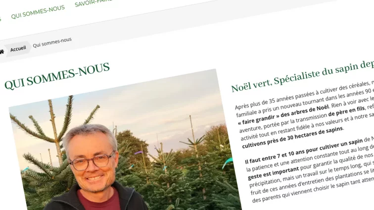 Vignette Noël vert boutique en ligne et stratégie web