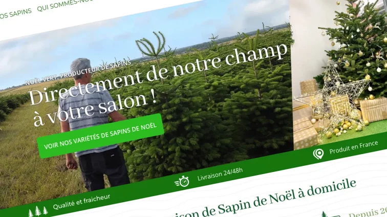 Vignette Noël vert boutique en ligne et stratégie web